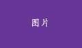 沒有標(biāo)題的話，就不會(huì)顯示